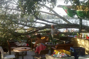 (FOTO) INCIDENT NA NOVOSADSKOJ PLAŽI: Drvo palo na kafić pun gostiju