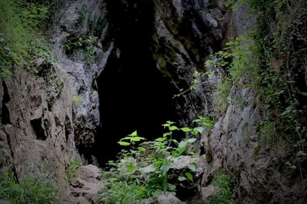NEVEROVATNO OTKRIĆE NAUČNIKA, OVO NIKAD NIJE VIĐENO: Pećina na istoku Srbije krila providno stvorenje, evo šta su otkrili (FOTO)