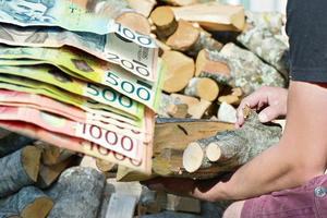 AKO NISTE SPREMILI OGREV, U OGROMNOM STE PROBLEMU: Kubik drva skuplji i do 1.000 dinara, a cena za tonu peleta 260 EVRA! PAPRENO