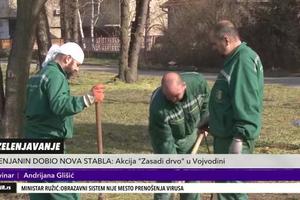 ZA ZDRAVIJU ŽIVOTNU SREDINU: Akcija "Zasadi drvo" u Vojvodini! Grad Zrenjanin dobio nova stabla (KURIR TELEVIZIJA)