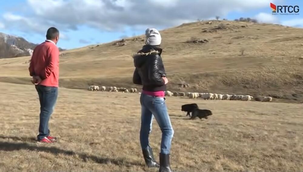 Milun i Mara Aprcović, Katun Ravno, gorštak