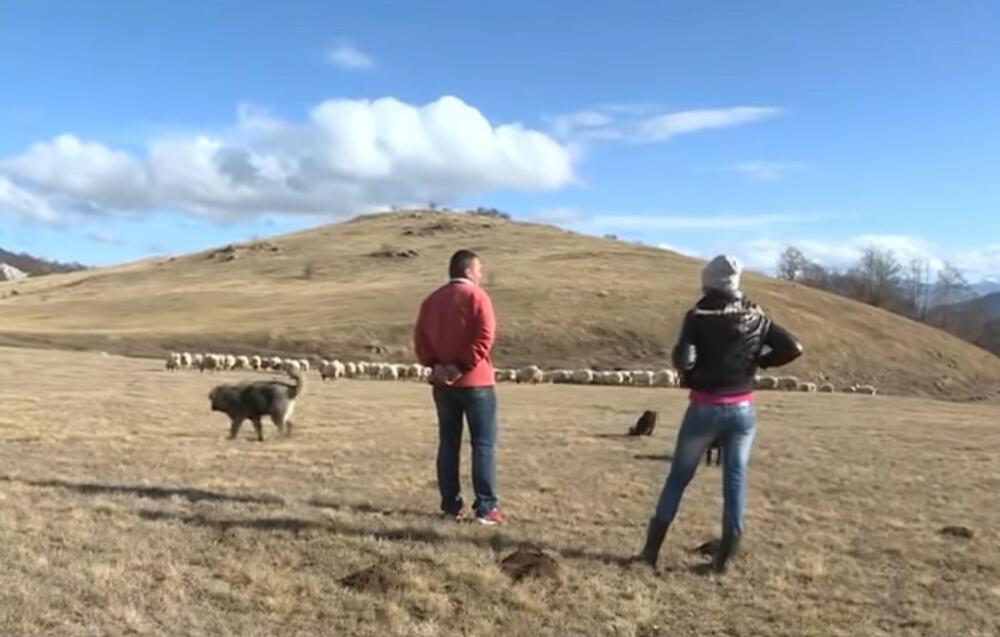 Milun i Mara Aprcović, Katun Ravno, gorštak