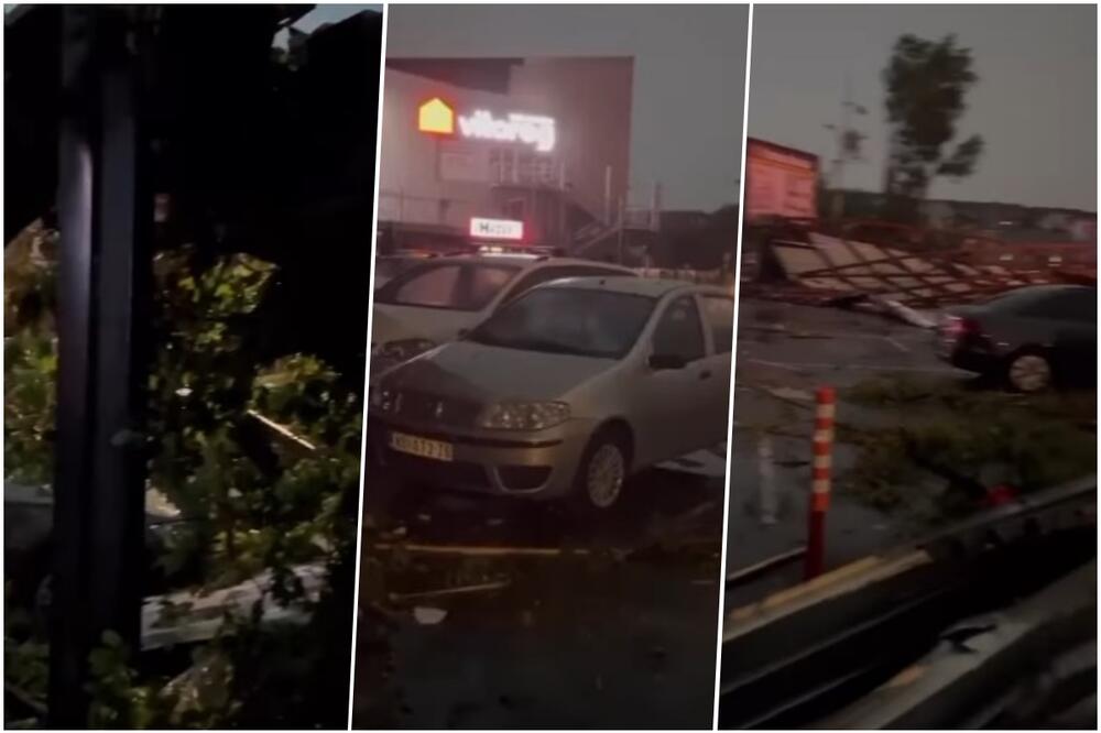 DRAMA U NOVOM SADU U TOKU AKCIJA SPASAVANJA: Drvo palo na trafiku, vatrogasci pokušavaju da pomognu radnici