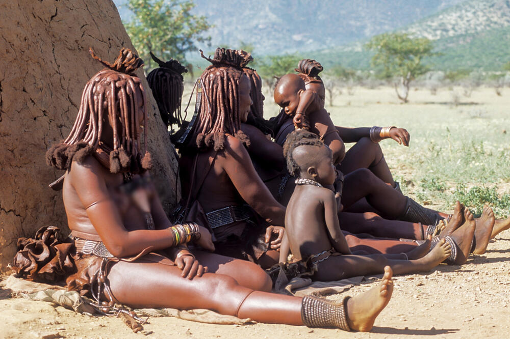 UŽASNO! U AFRICI HARA NEZAPAMĆENA GLAD: Namibija ubija slonove, zebre, nilske konje i antilope da nahrani ljude!