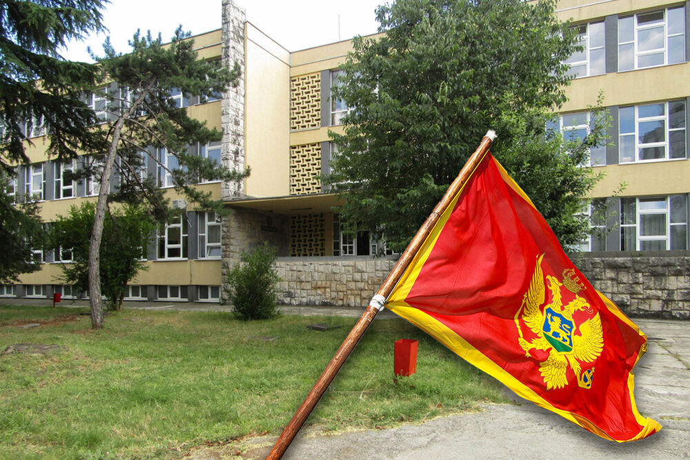 Crna Gora, škola