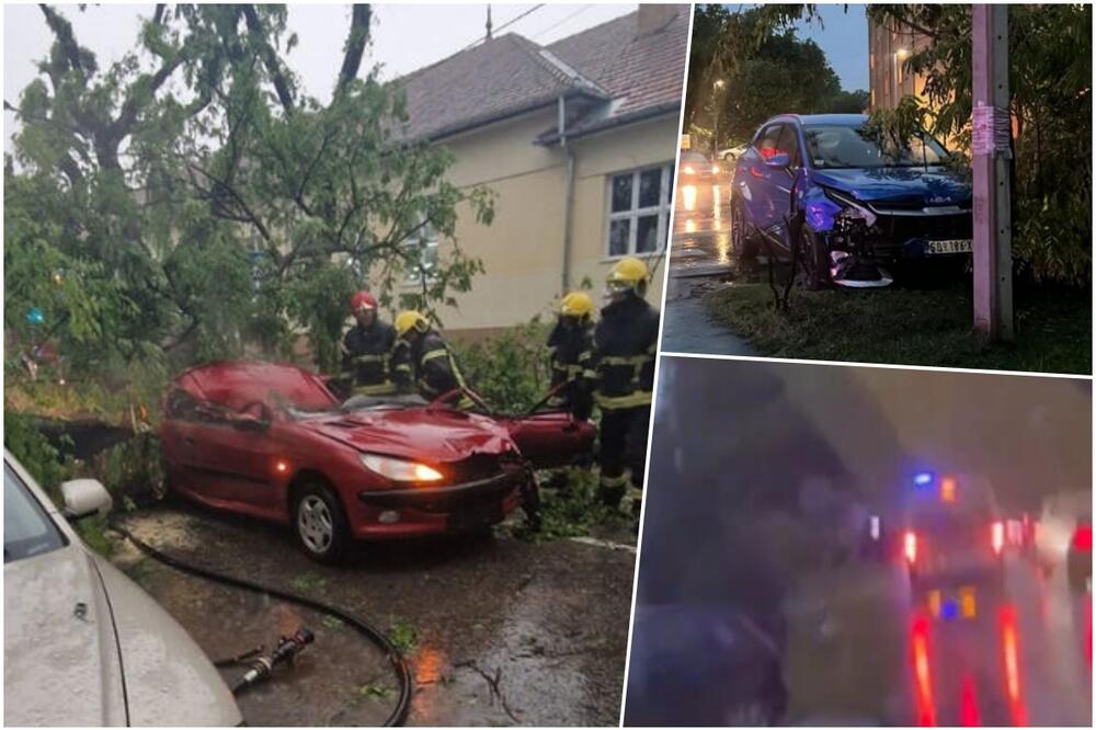 HAOS U SOMBORU, ŽENA POGINULA NAKON PADA DRVETA: Nevreme OPUSTOŠILO grad, oglasio se Dačić! (FOTO/VIDEO)