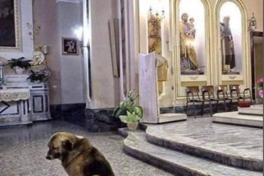 PRIZOR KOJI SLAMA SRCA: Svaki dan nakon Marijine smrti njen pas odlazi u crkvu, sedne kod oltara i strpljivo je čeka da se VRATI