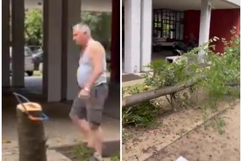 "JA SAM VAŠ SUDIJA I DŽELAT": Čovek izašao iz stana sa 2 testere, isekao drvo i ostavio ga na putu! Ljudi besni! (VIDEO)