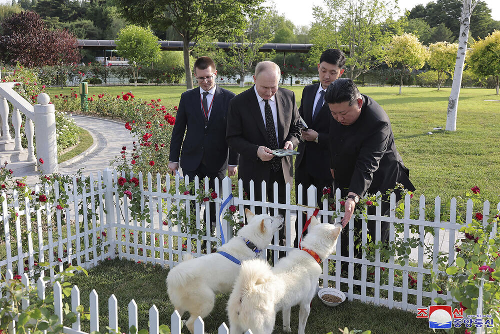 Vladimir Putin, Kim Džong-un, Severna Koreja