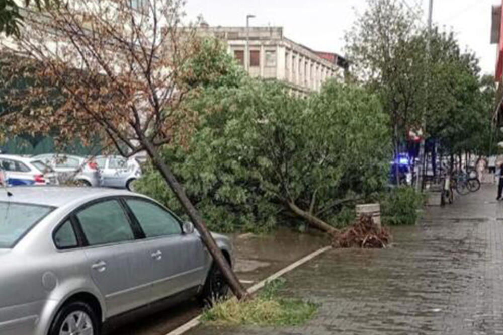 NEVREME POGODILO PIROT: Ulice poplavljene, vetar čupao drveće (VIDEO)