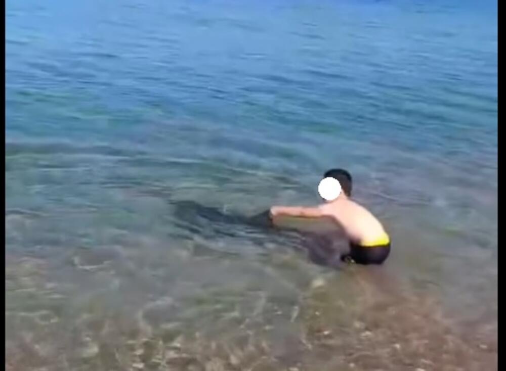 Dečak je povukao delfina