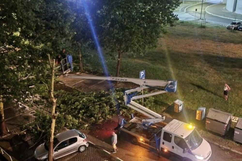 "ZA DLAKU SMO IZBEGLI DA STABLO PADNE NA MENE, MUŽA I DETE" Dramatičan prizor na Novom Beogradu, drvo se srušilo na automobile