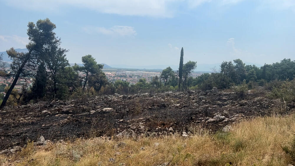 požar, Podgorica, vatrogasci, paljevina