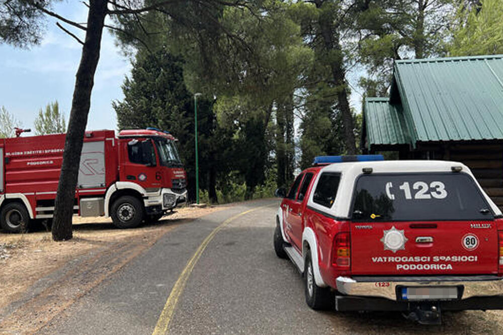 EVO ŠTA JE OSTALO NAKON POŽARA KOJI JE OPUSTOŠIO OKOLINU PODGORICE "Ljudi su neodgovorni i bahati, oseća se miris paljevine"(FOTO)