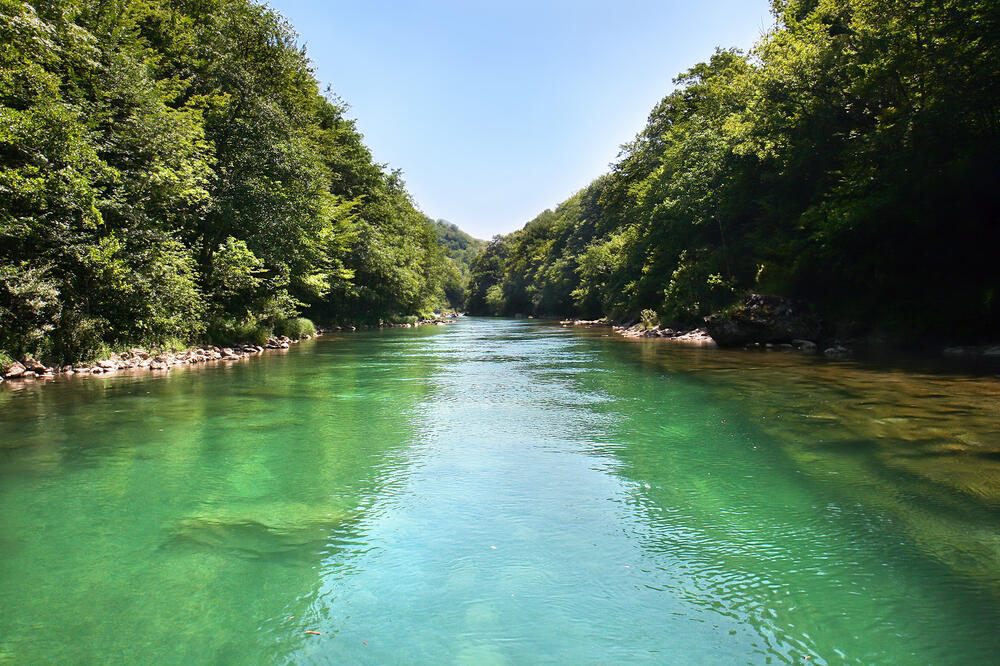 HRVATI UZNEMIRENI NJENOM POJAVOM, STRUČNJAK TVRDI DA SPADA U NAJGORE NA SVETU! "Stanje je zabrinjavajuće" (FOTO)