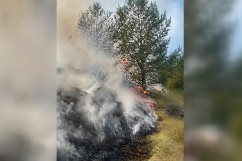 TOPLOTNA APOKALIPSA ZAHVATILA ČITAVU SRBIJU! Gore šume kod Sjenice, suša hara Bačkom, prepolovljen prinos kukuruza u Sremu