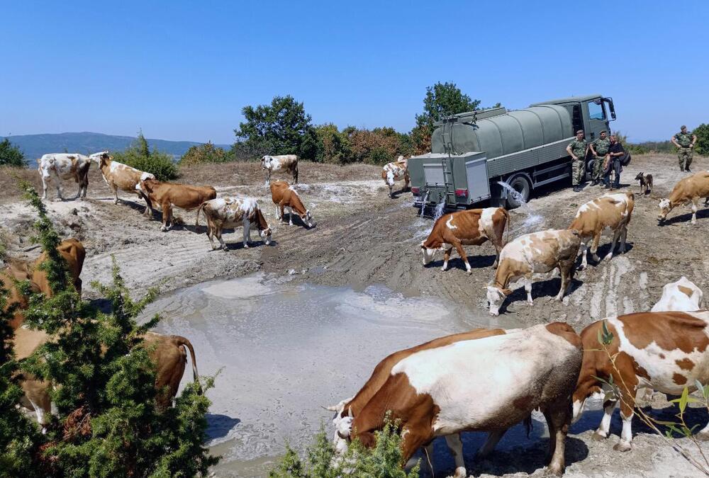 Vojska Srbije