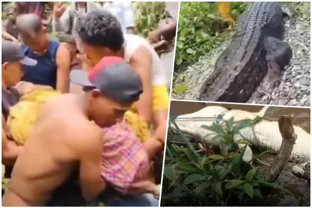 MEŠTANI VADE TELO ŽENE IZ STOMAKA KROKODILA: Užasavajuća scena, prala lonce u reci, nije primetila da se ZVER PRIBLIŽAVA (VIDEO)