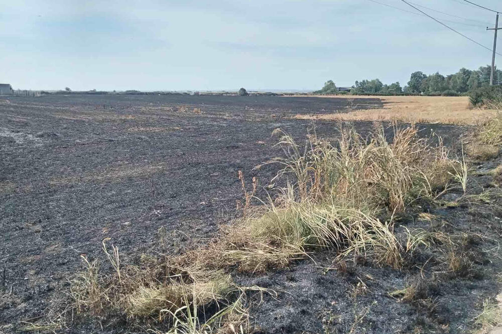 UVODE SE SVAKODNEVNE PATROLE ZBOG NELEGALNIH AKTIVNOSTI: Sremska Mitrovica donela odluku, stupa na snagu od večeras