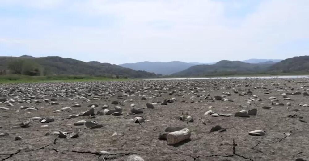 jezero Ćelije