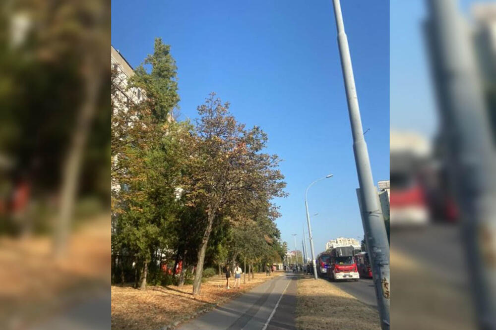 PRVE SLIKE SA MESTA POŽARA NA NOVOM BEOGRADU: Krov zgrade u plamenu, pet vatrogasnih vozila na terenu (FOTO)