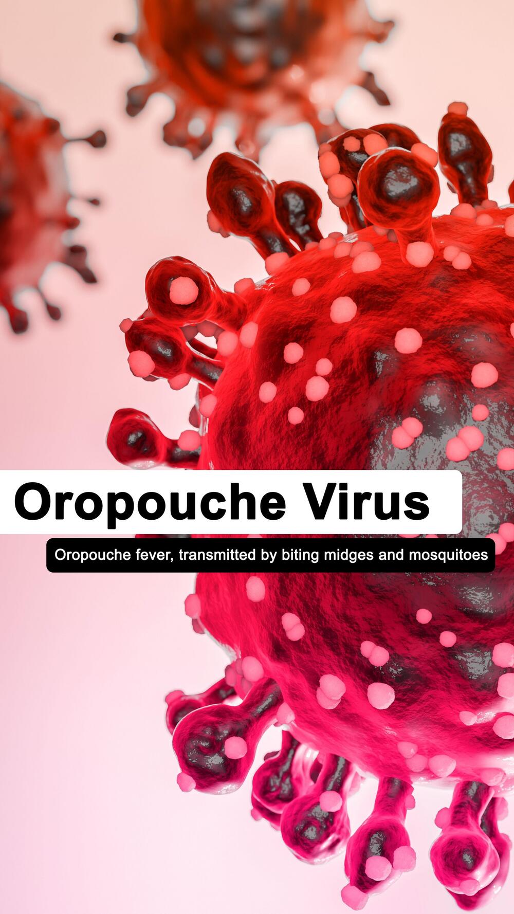 oropuš virus