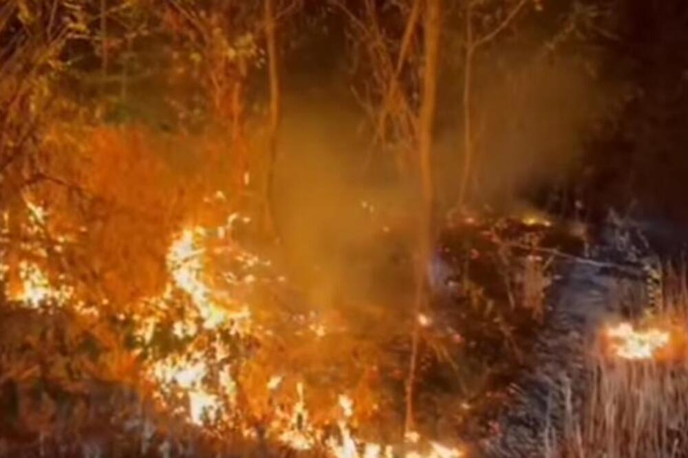 MAJKA I SIN (16) PIROMANI: Podmetnuli najmanje šest požara u Grčkoj