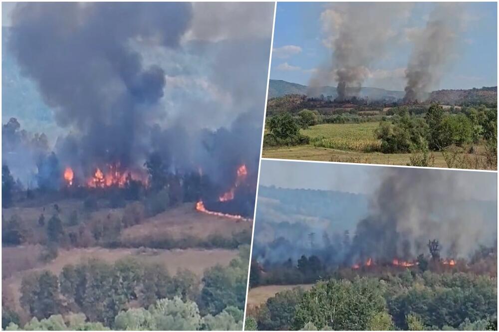 VELIKI POŽAR KOD KRAGUJEVCA, GORI POVRŠINA OD NEKOLIKO HEKTARA Plamen prekrio magistralu, vatrogasci pokušavaju da obuzdaju plamen